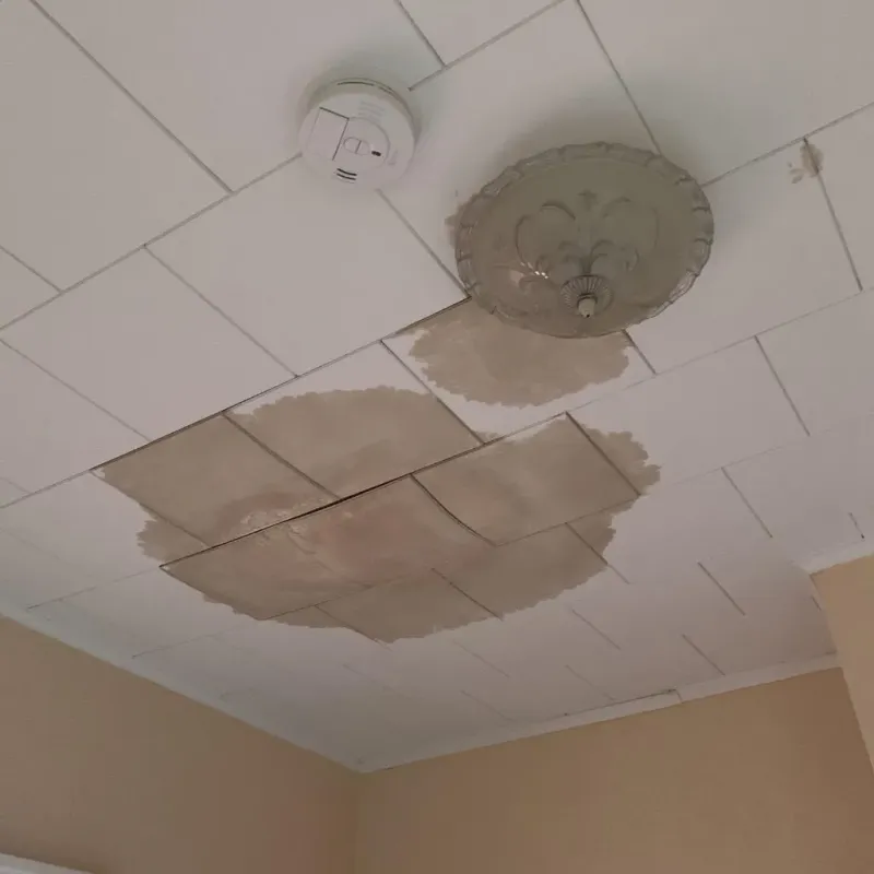 Ceiling Water Damage Repair in Campbell County, SD