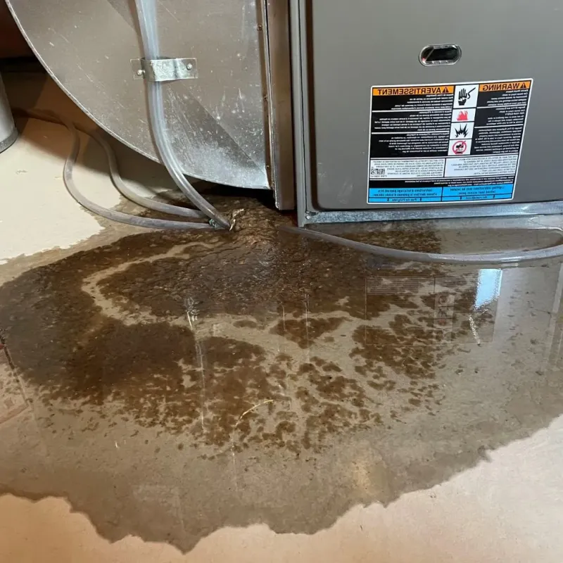 Pipe Burst and Leak Restoration in Campbell County, SD