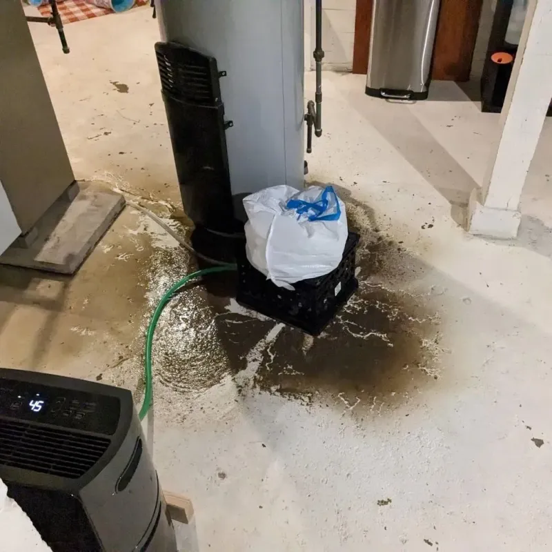 Sewage Backup Cleanup Service in Campbell County, SD